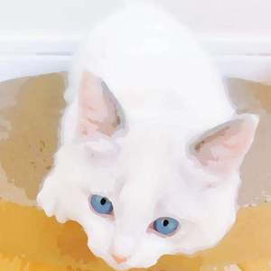 奥特曼❌18禁同人漫画无码
