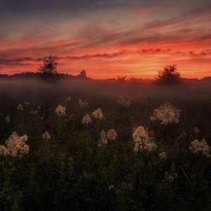 奥特曼❌18禁同人漫画无码
